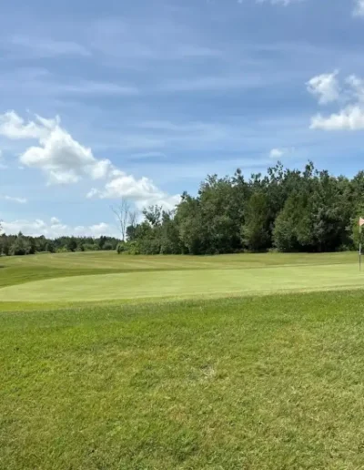 the iron and the eagle golf club 30