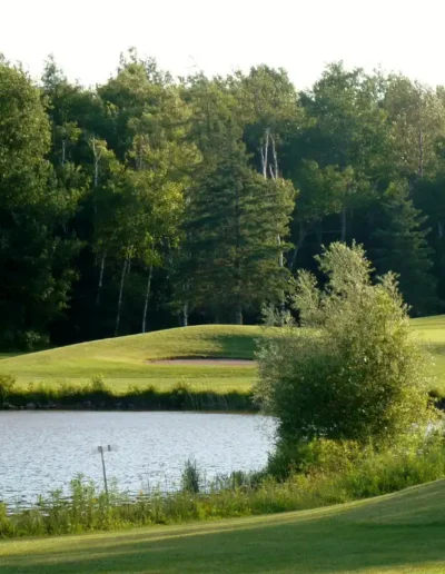 the iron and the eagle golf club 34